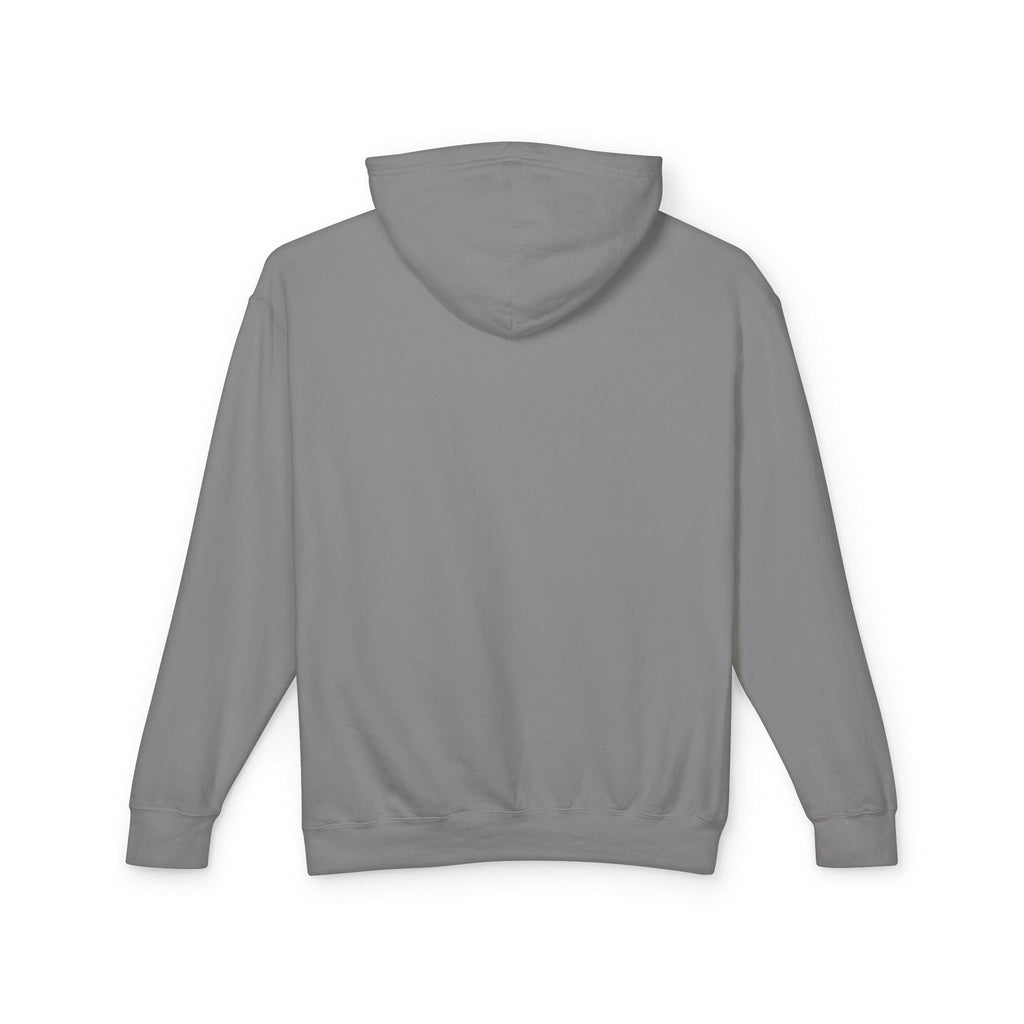 USA Egale and Flag Hooded Sweatshirtas