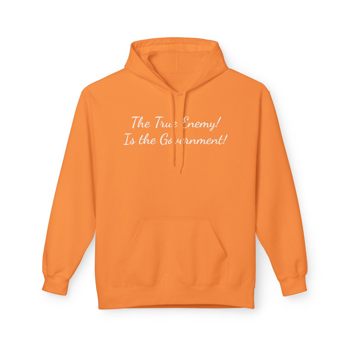 "The True Enemy Is the Government" Script Political Statement Hoodie