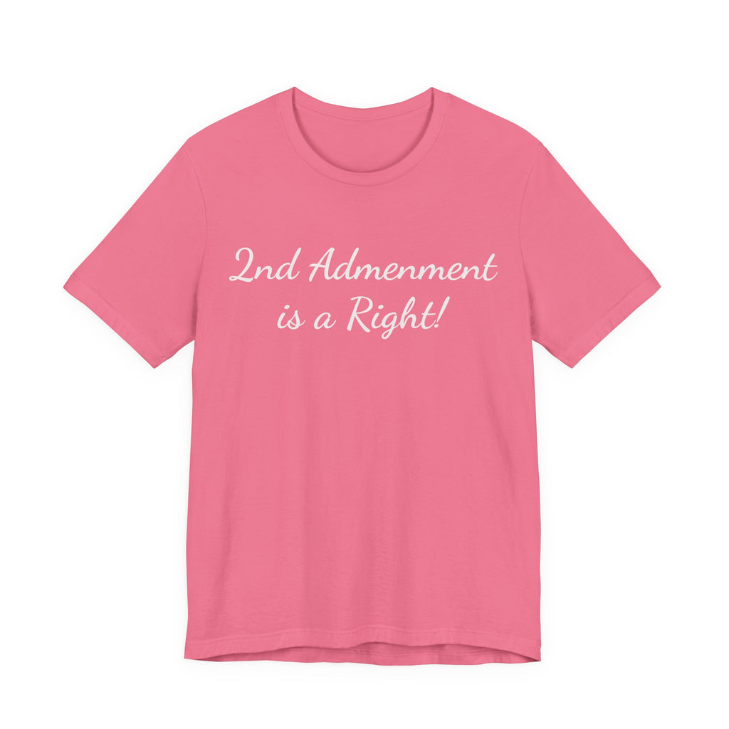 2nd Amendment Is a Right Tee