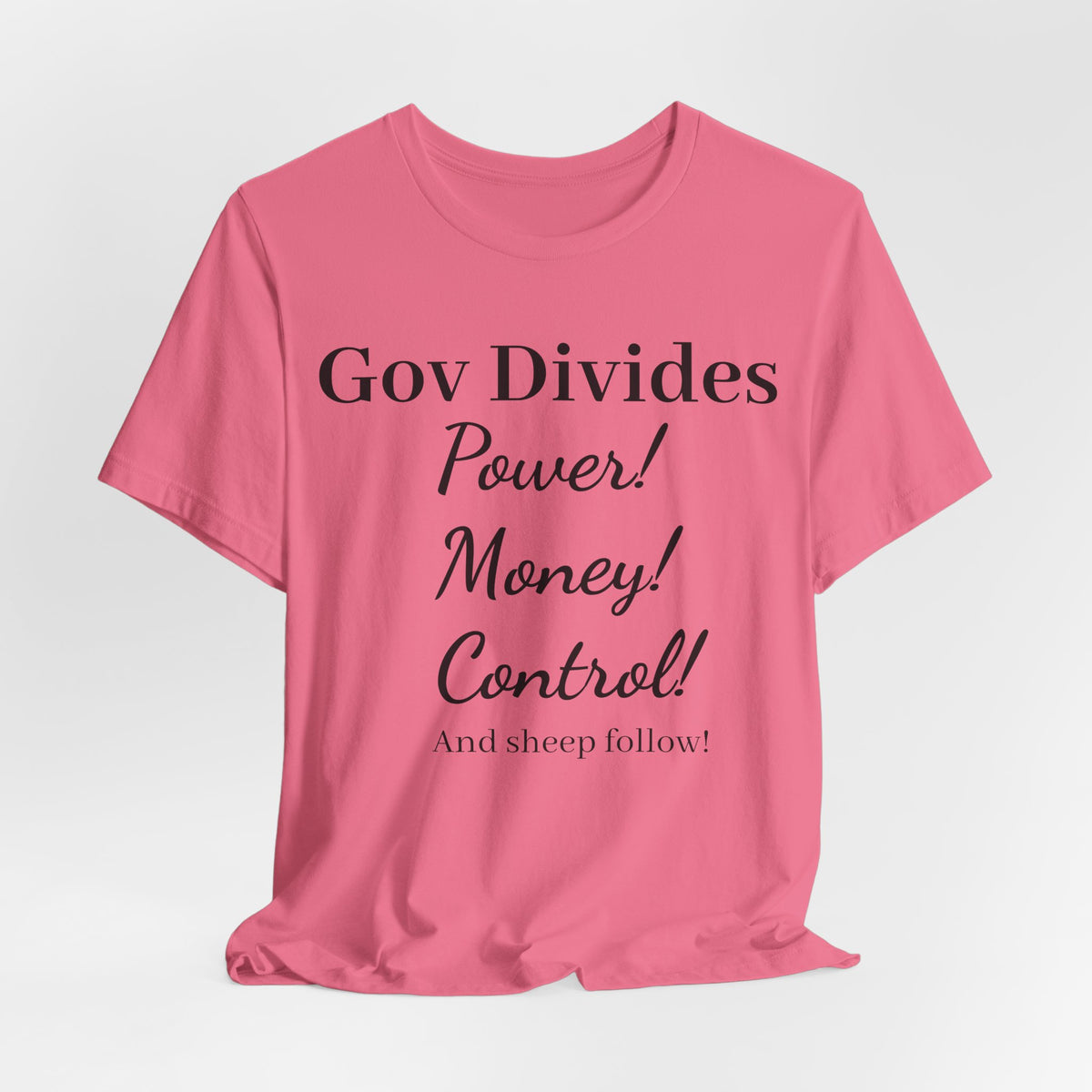 Gov Divides T‑Shirt – "Gov Divides: Power! Money! Control!" Political Statement Tee