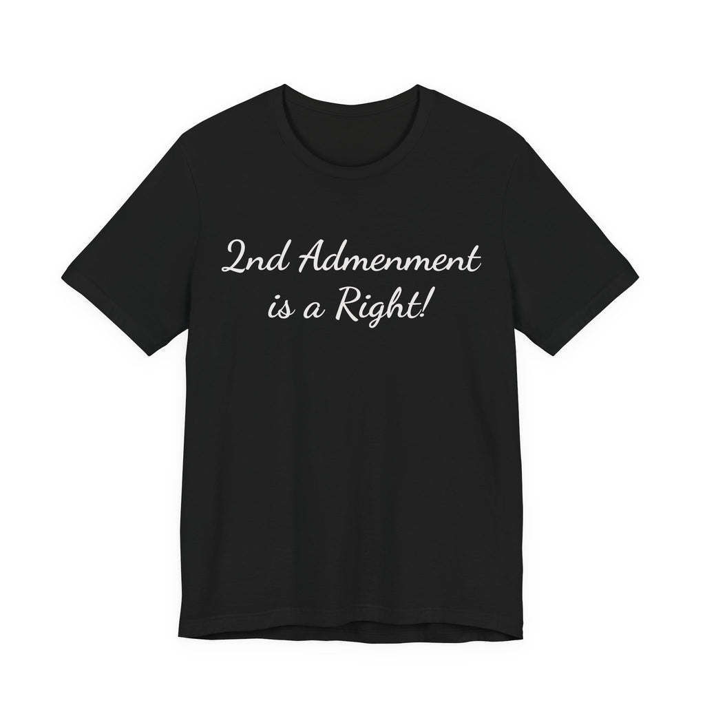 2nd Amendment Is a Right Tee