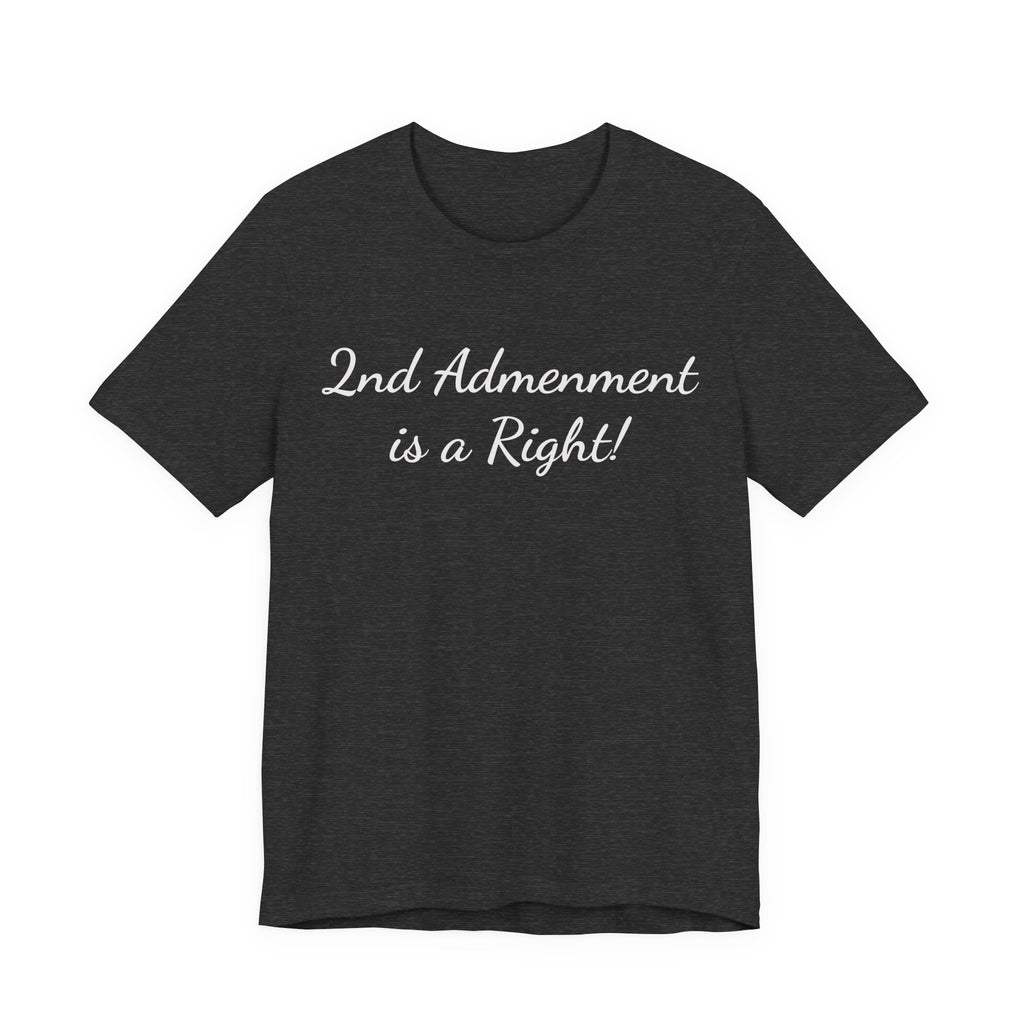 2nd Amendment Is a Right Tee