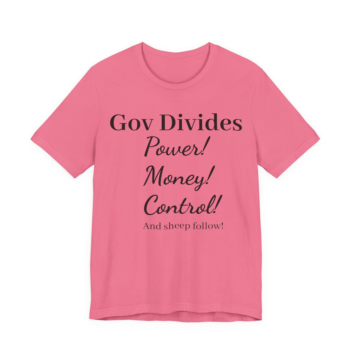 Gov Divides T‑Shirt – "Gov Divides: Power! Money! Control!" Political Statement Tee