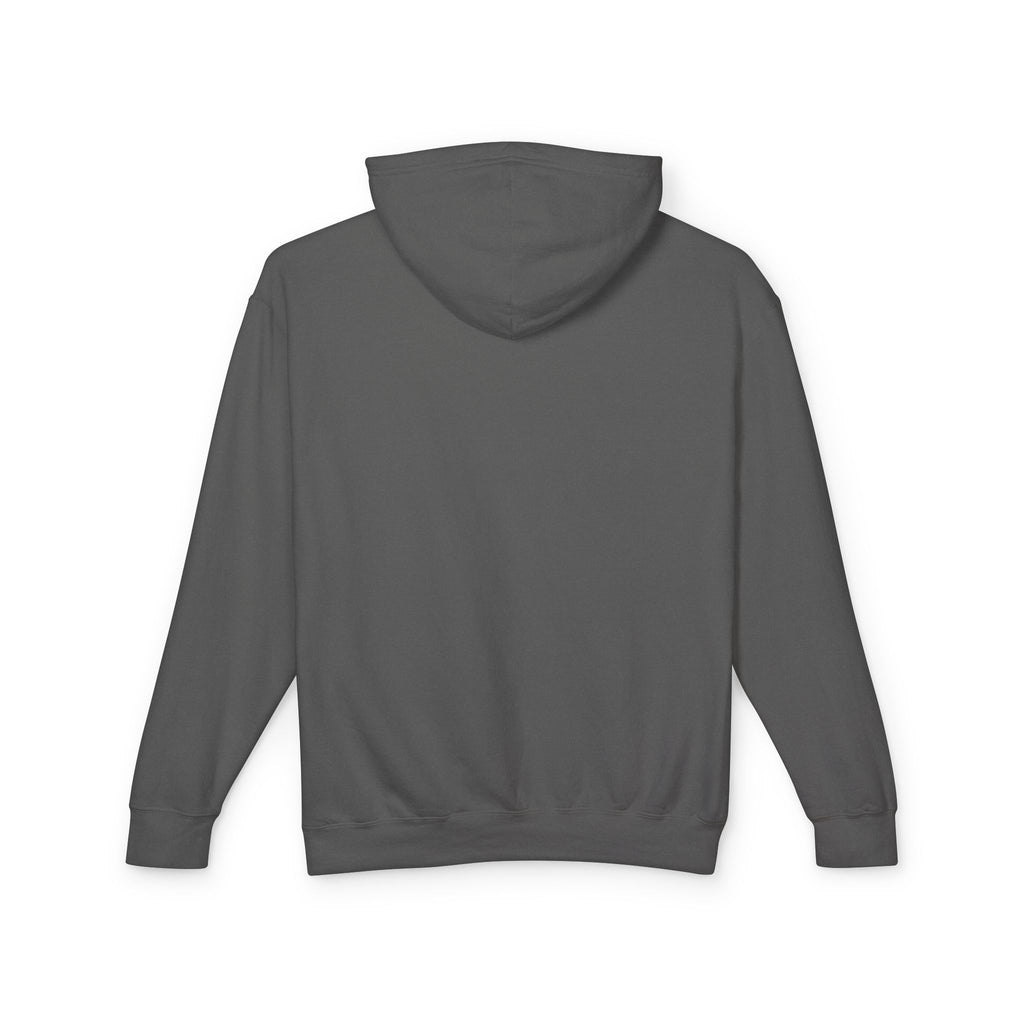 USA Egale and Flag Hooded Sweatshirtas