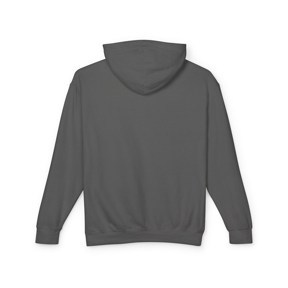 USA Egale and Flag Hooded Sweatshirtas