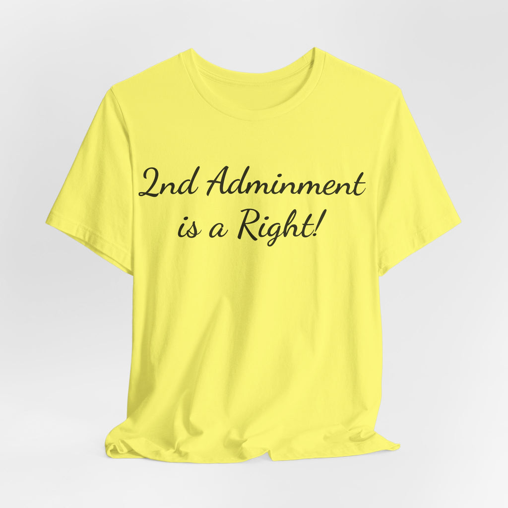 2nd Amendment Is a Right T-Shirt — Pro-Gun Rights Patriotic Tee