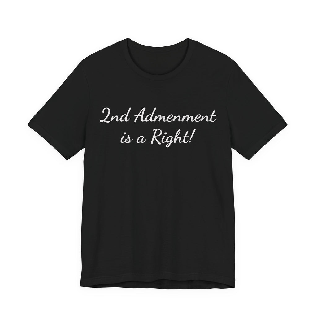 2nd Amendment Is a Right Tee