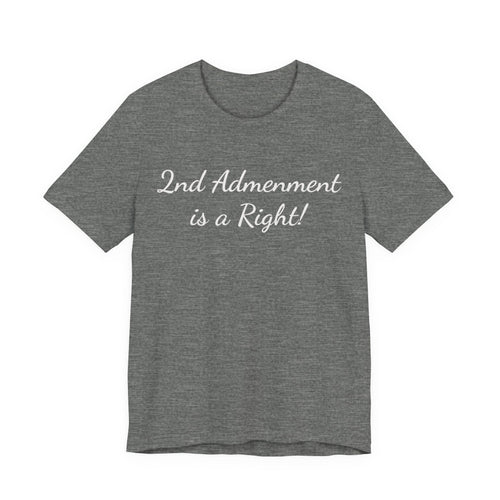 2nd Amendment Is a Right Tee