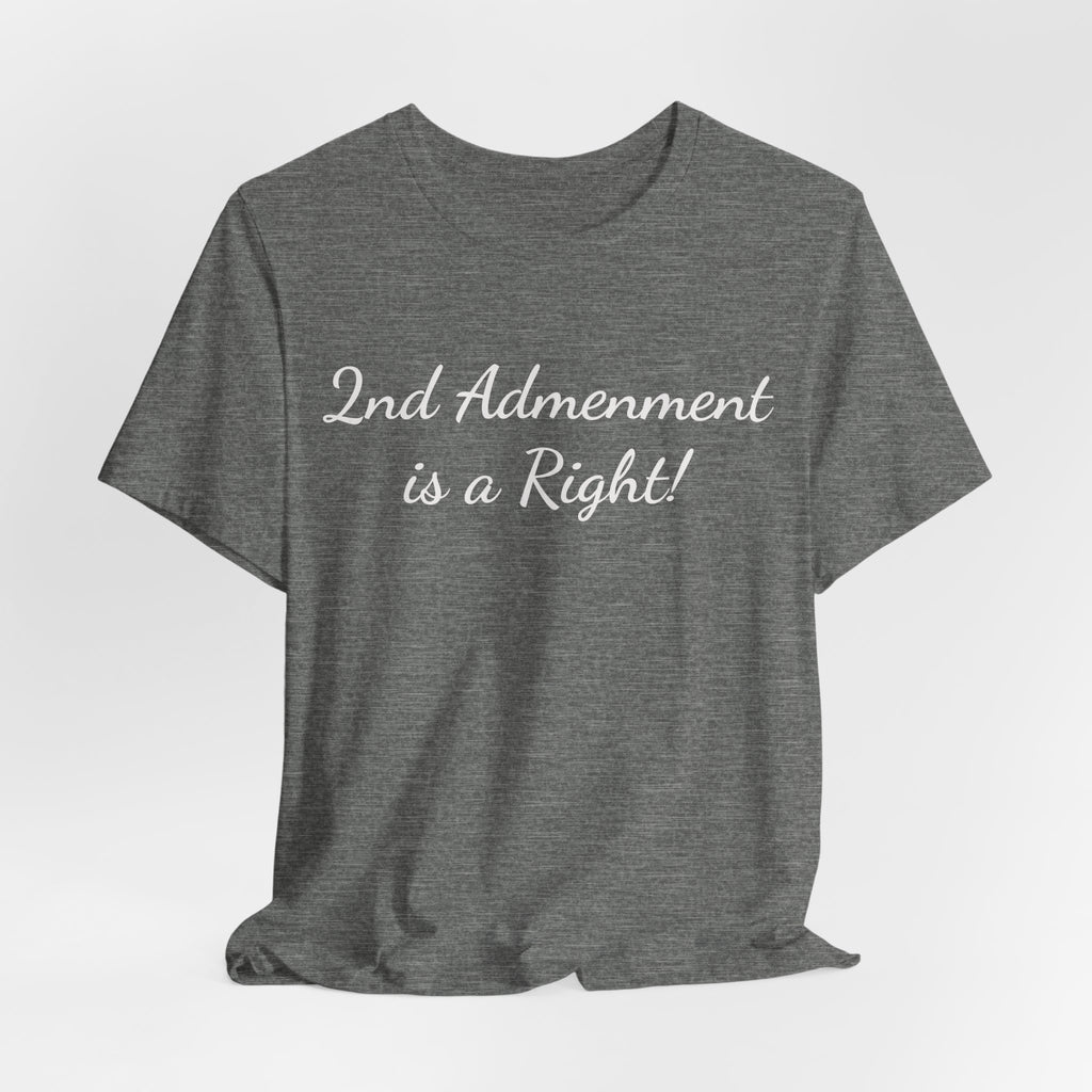 2nd Amendment Is a Right Tee